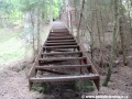 Schodiště podél svahu doskočiště se ztrácí v lesním porostu. | 21.5.2012