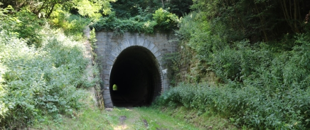 Koprášský tunel v minulosti sloužil jako sklad zeleniny. Z obou stran byl proto zazděn. To je však již minulostí. | 10.7.2018