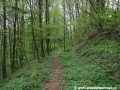 Po pár set metrech je ale těleso Heřmaničky opět viditelné, díky tomu, že frýdlantští jej využívají jako lesní stezku zůstávají viditelné dřevěné pražce | 23.4.2009