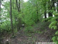 Džungli připomíná zářez tělesa Heřmaničky u Kunratic. | 5.5.2011