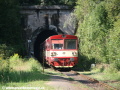 Do Dolnopolubenského tunelu vjíždí souprava vozů 810.263-4+24-29 516-8+810.245-1+810.673-4+24-29 513-5+810.100-8. | 11.9.2011
