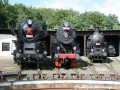 Parní lokomotivy 556 0271, 555 0301 a 524 159 odstavené na paprscích točny bývalé výtopny v Lužné u Rakovníka | 9.8.2008