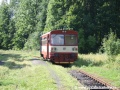 Koncovým nádražíčkem železniční tratě č.042 je to v Rokytnici nad Jizerou, dojem naprosté opuštěnosti dotvrzují pouhé dva páry vlaků, které až na konec tratě denně zajíždějí, na snímku je ranní vlak obsazený motorovým vozem 810 493-7 | 27.7.2008